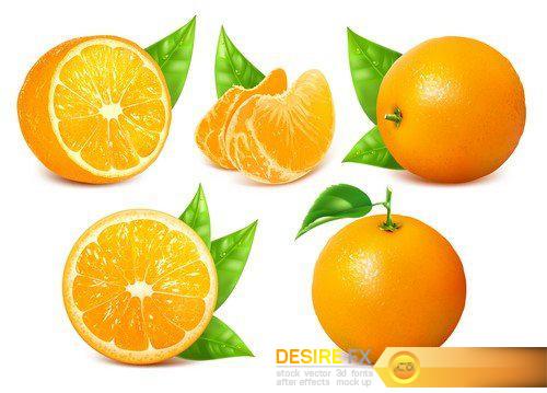 Fresh ripe oranges and grapefruits #2  12X EPS