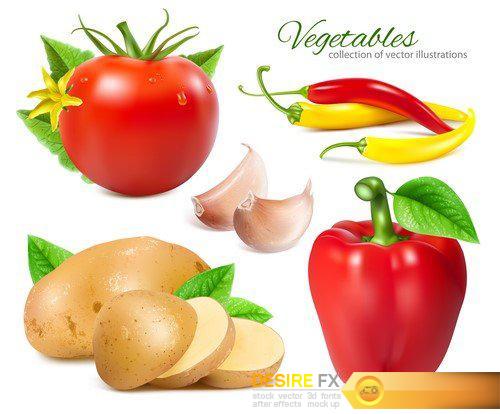 Ripe fresh vegetables  11X EPS