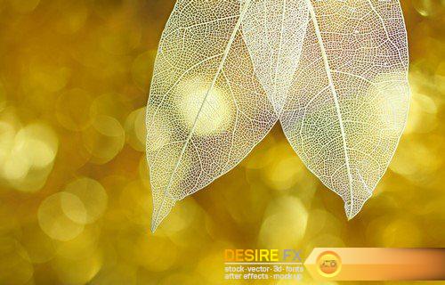 Abstract background transparent sheet with a beautiful texture 13X JPEG