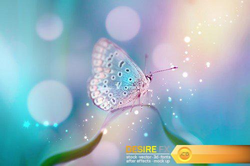 Abstract background transparent sheet with a beautiful texture 13X JPEG