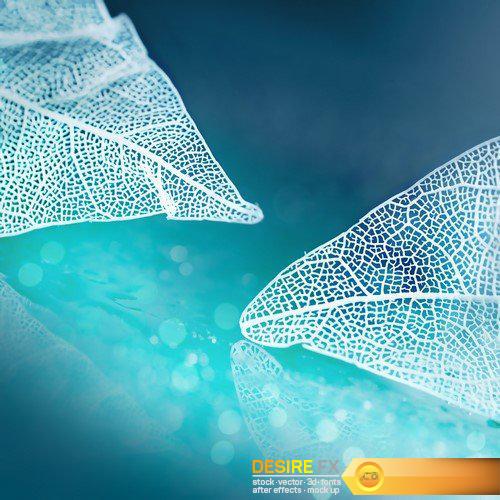Abstract background transparent sheet with a beautiful texture 13X JPEG