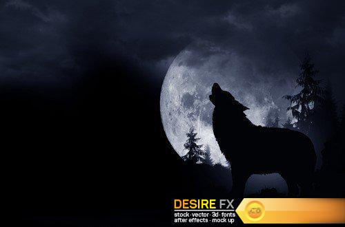 Wolf 3X JPEG