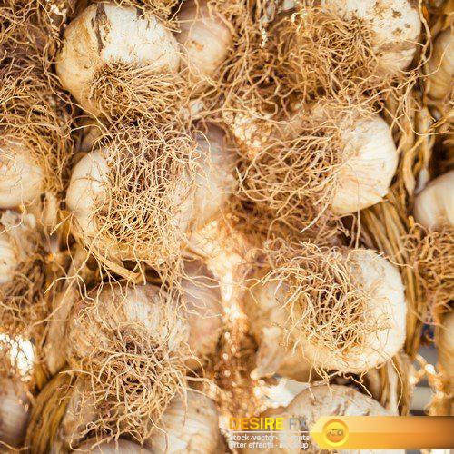 Garlic bulbs close  5X JPEG