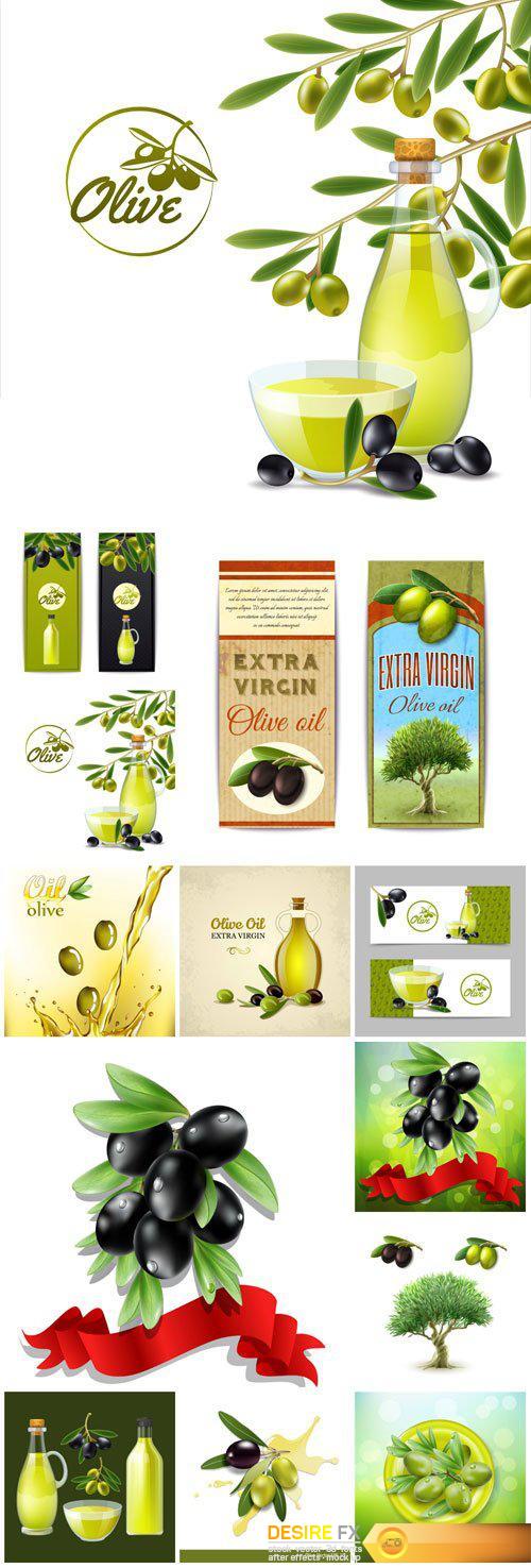 Olives backgrounds vector, olive oil