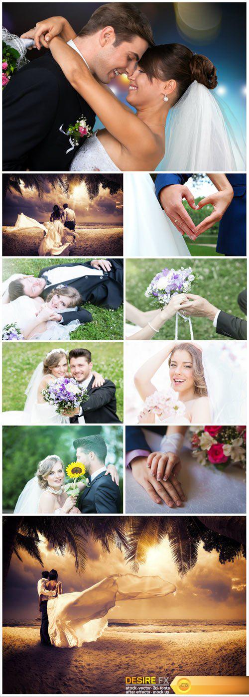 Wedding beautiful stock photos, elegant bride, groom