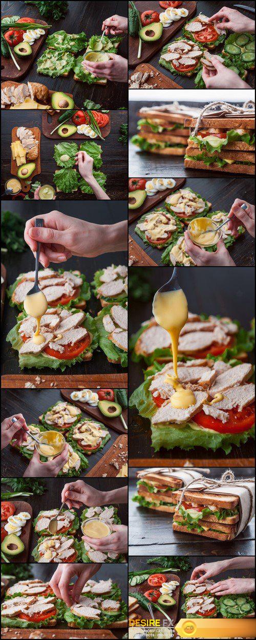 Sandwich in rustic style with turkey meat and chicken and vegetables 12X JPEG