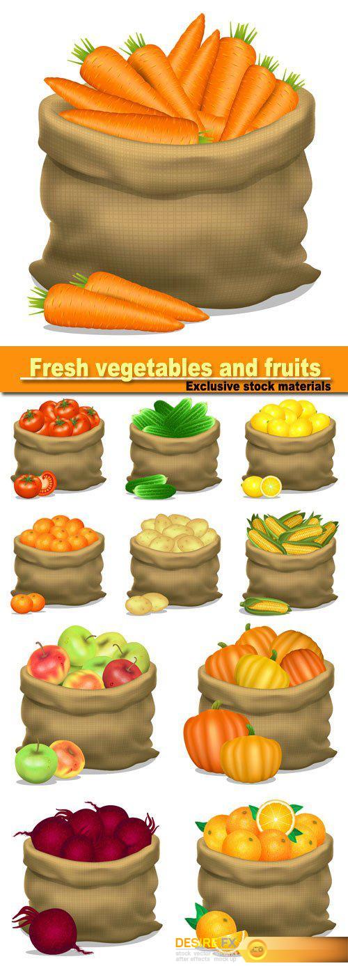 Illustration of a sack of apples, corn, potatoes, cucumbers, carrots, on a white background, vector icon