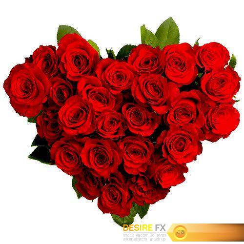 Red rose petals heart 13X JPEG