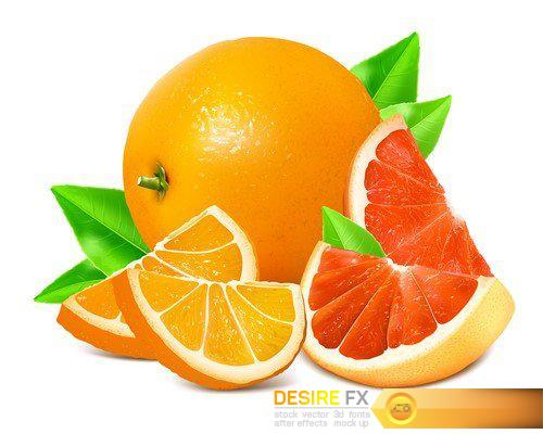 Fresh ripe oranges and grapefruits #2  12X EPS