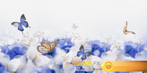 Butterflies on flowers iris #2 22X JPEG