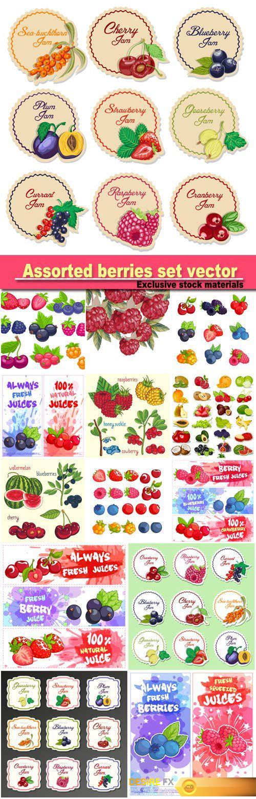 Assorted berries set vector illustration, set labels for jam from berries