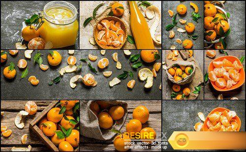 Food collage of fresh oranges and mandarin  #8 7X JPEG