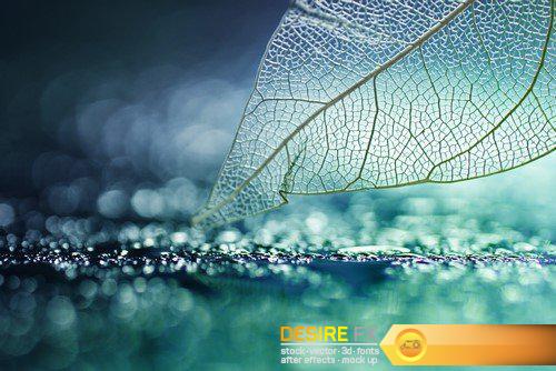 Abstract background transparent sheet with a beautiful texture 13X JPEG