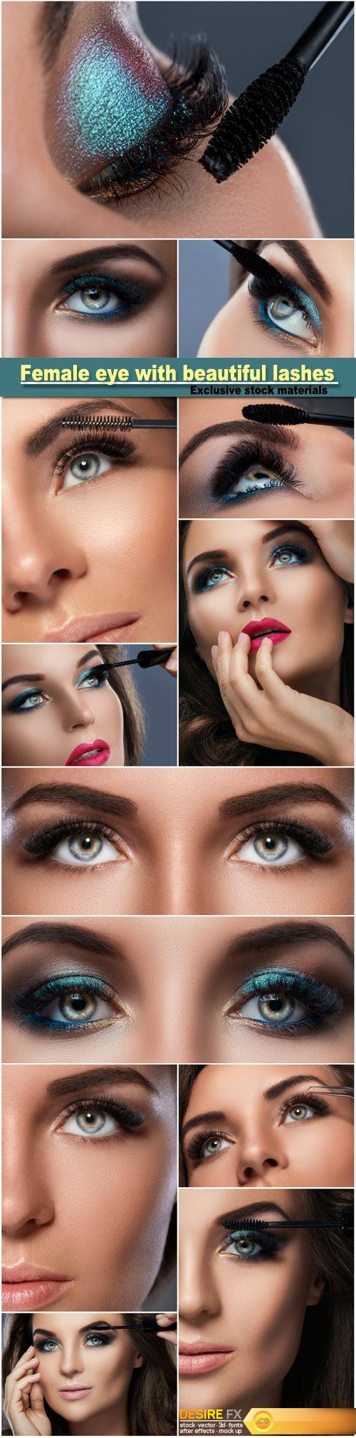 Female eye with beautiful long lashes, make-up