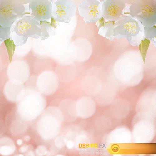 Spring gentle background with flowers 6X JPEG