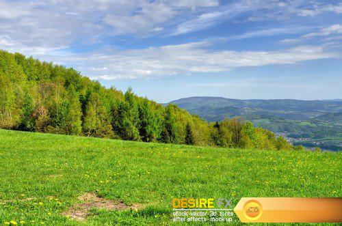 Spring mountain landscape Green meadow and forested hills 8X JPEG