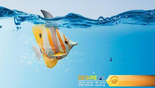 Goldfish with shark fin 9X JPEG
