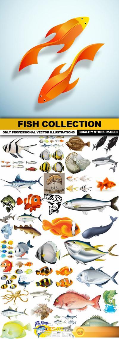 Fish Collection - 45 Vector