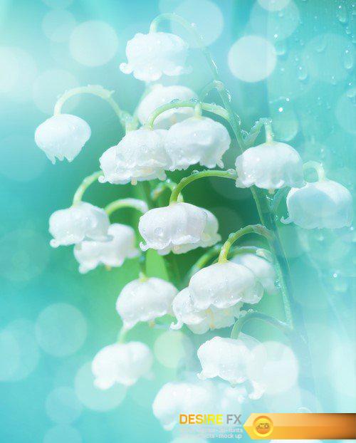 Spring gentle background with flowers 6X JPEG