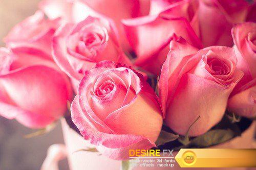 Valentines day or Mother day background with pink roses 8X JPEG