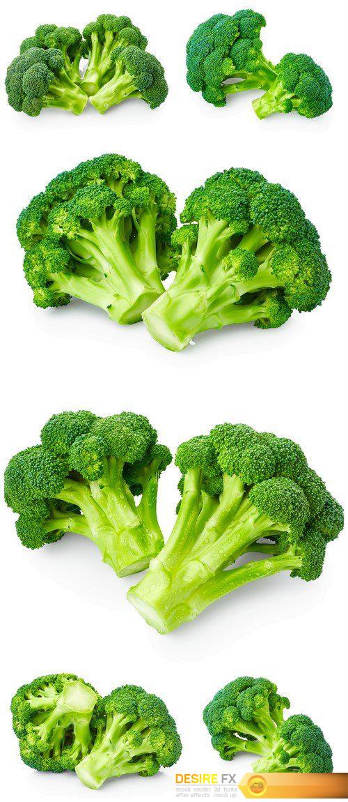 Fresh broccoli 6X JPEG
