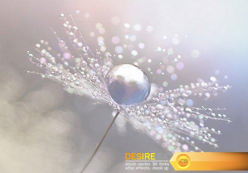 Drops of dew on a beautiful blurred background 17X JPEG