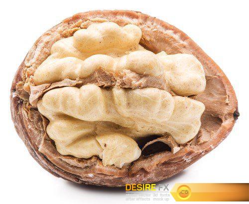Walnuts and walnut kernel 9X JPEG