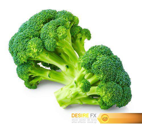 Fresh broccoli 6X JPEG