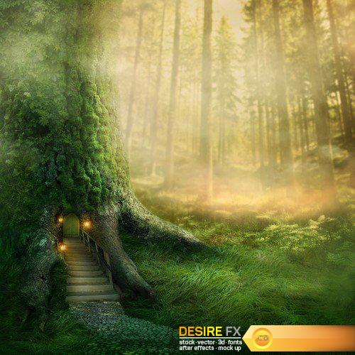 Enchanted dark forest 11X JPEG