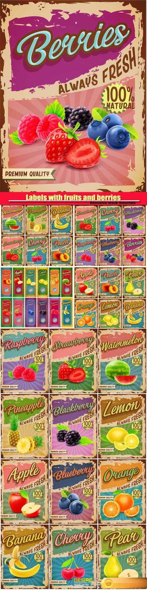 Vector vintage labels with fruits and berries
