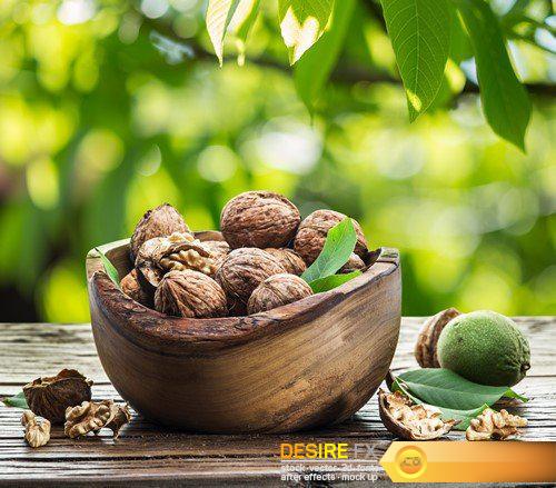 Walnuts and walnut kernel 9X JPEG