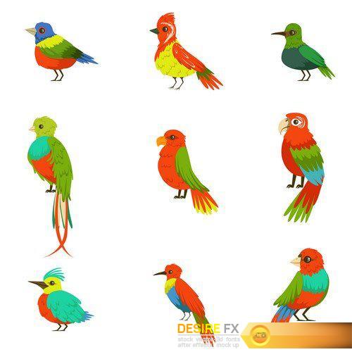 Exotic Birds Collection Of Colorful Parrots 2X EPS