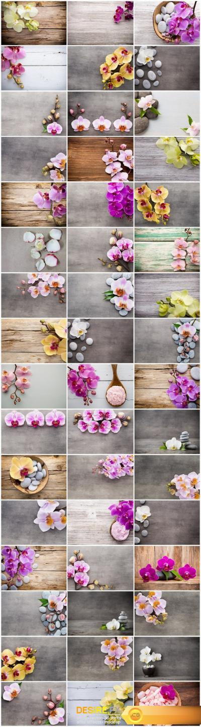 Orchid & SPA Backgrounds - Set of 50xUHQ JPEG Professional Stock Images