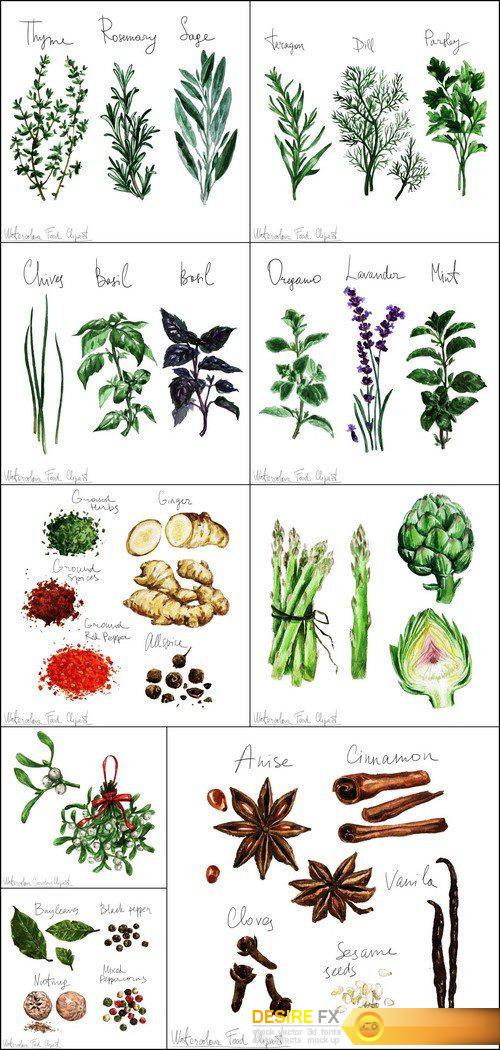 Spices and herbs 9X JPEG