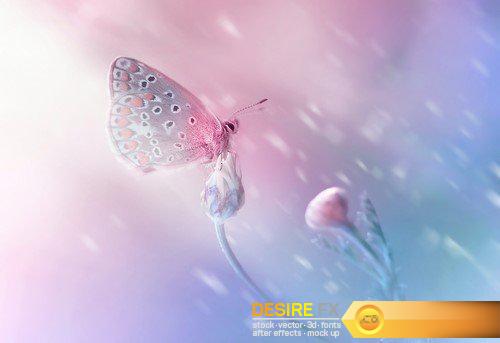 Abstract background transparent sheet with a beautiful texture 13X JPEG