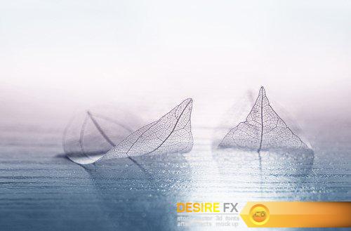Abstract background transparent sheet with a beautiful texture 13X JPEG