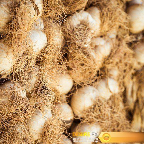 Garlic bulbs close  5X JPEG