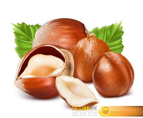 Almonds Hazelnuts Walnuts Pistachio nuts Vector illustration 16X EPS