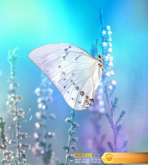 Abstract background transparent sheet with a beautiful texture 13X JPEG