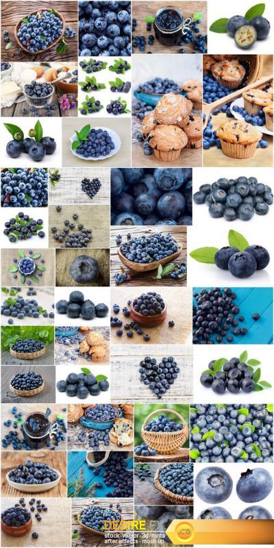 Fresh Bilberry - 41xUHQ JPEG Professional Stock Images