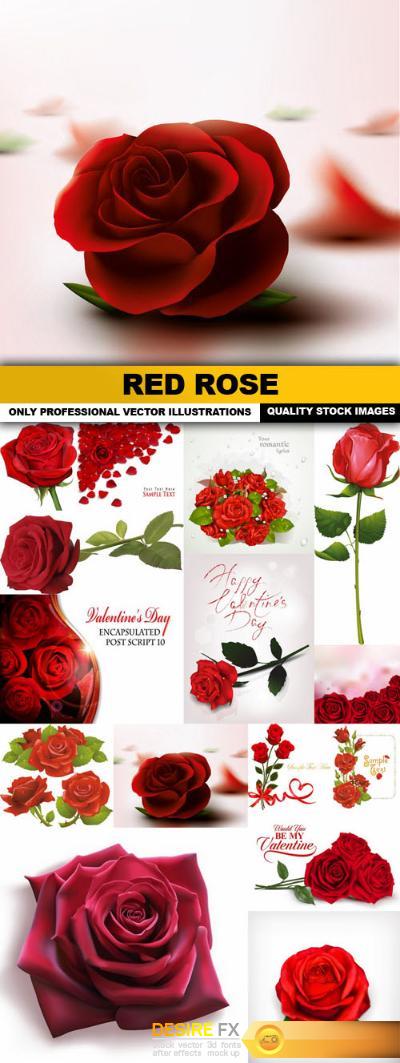 Red Rose - 15 Vector