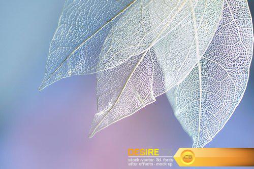 Abstract background transparent sheet with a beautiful texture 13X JPEG