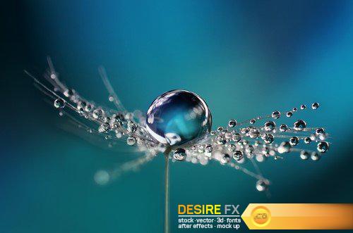 Drops of dew on a beautiful blurred background 17X JPEG