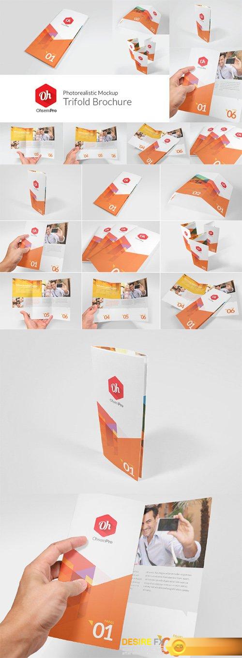 OhsemPro - Trifold - Creativemarket 80658