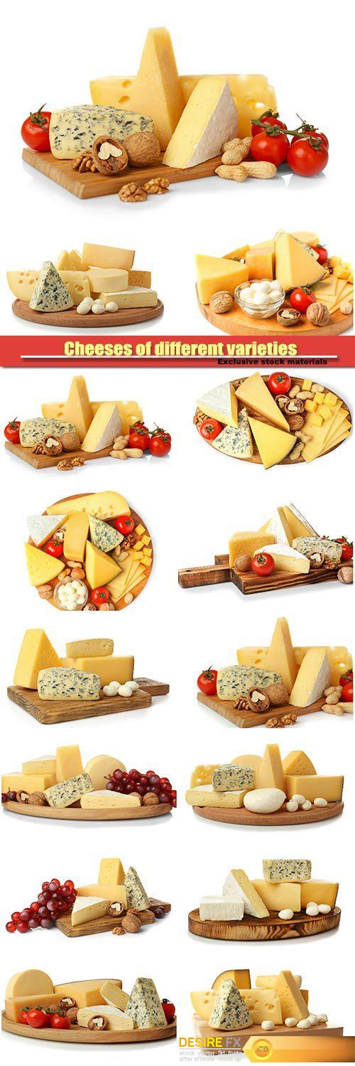 Cheeses of different varieties on a white background