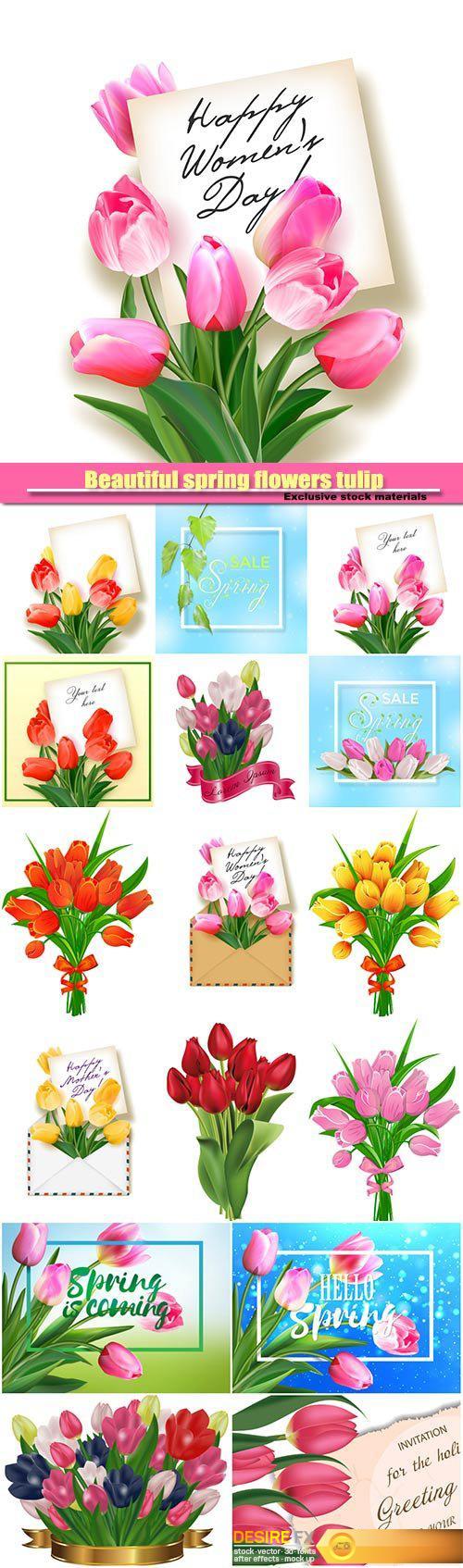 Beautiful spring flowers tulip vector