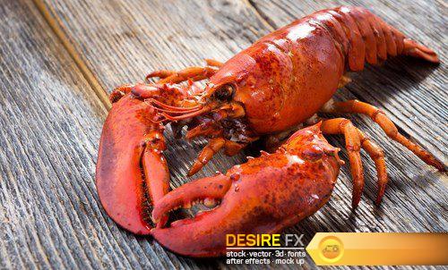 A delicious freshly boiled lobster - 10 UHQ JPEG
