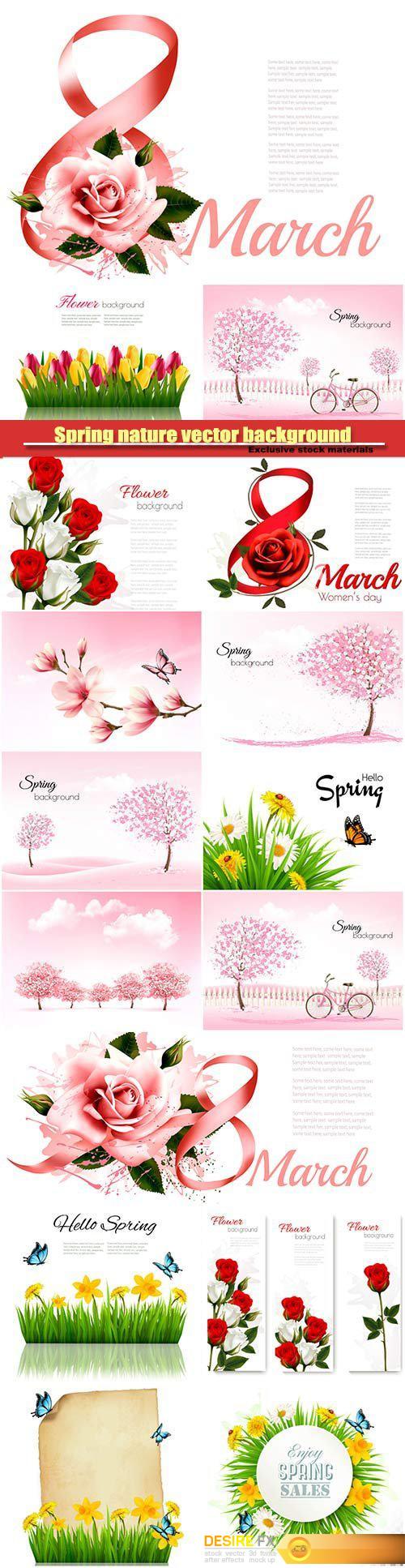 8th March illustration with rose, women's day, spring nature vector background