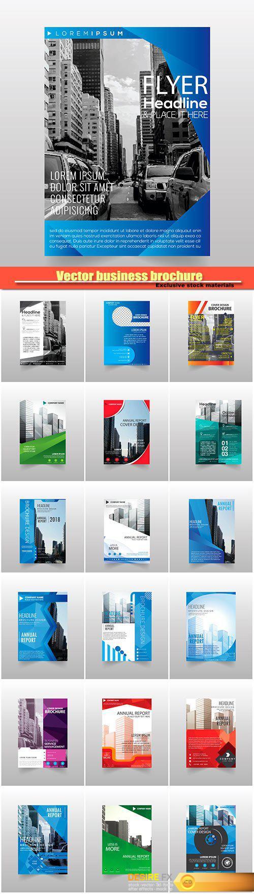Vector business brochure flyers