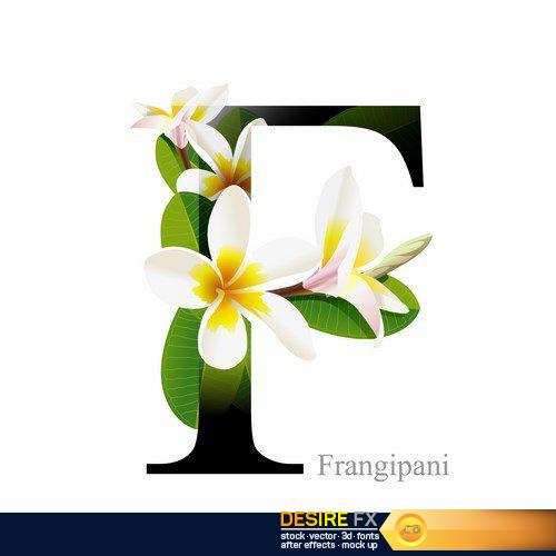 Alphabet with flower - 26 EPS